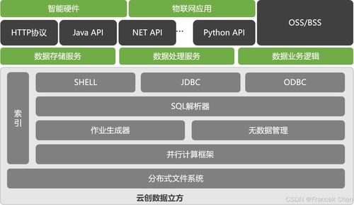 中國云計(jì)算技術(shù)之四 數(shù)據(jù)處理與存儲服務(wù)的發(fā)展與展望